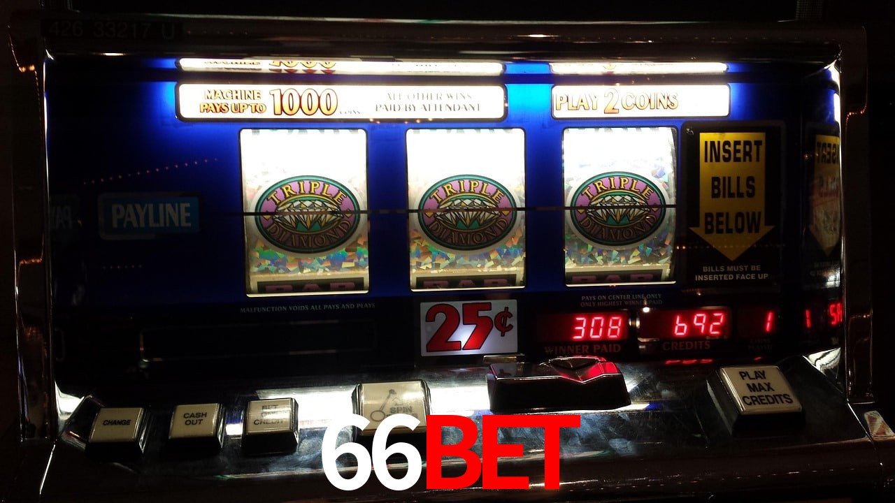 Sports Statistics 66bet