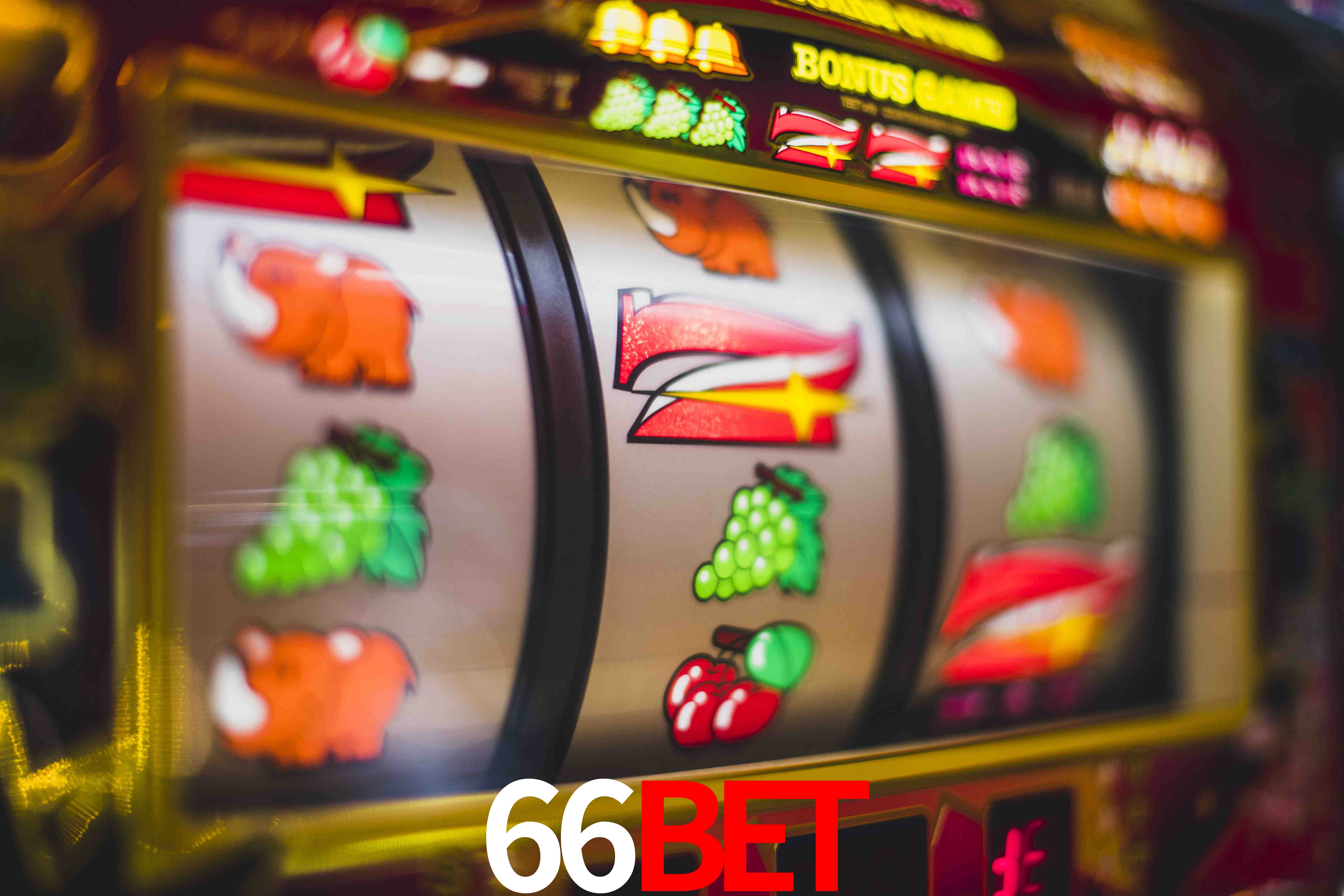 Crash Games Statistics 66bet